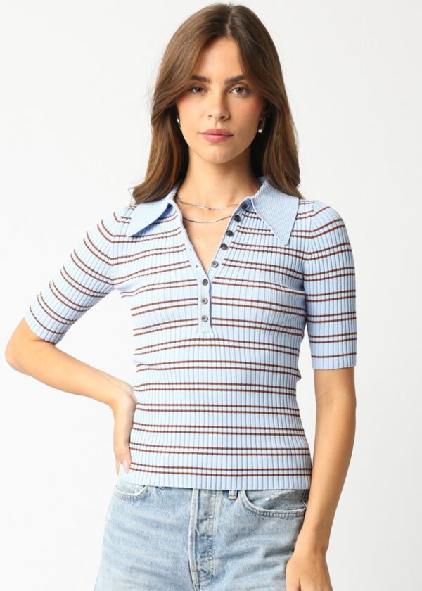 LIGHT BLUE AND BROWN STRIPE POLO TOP